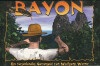 Bayon thumbnail