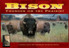 Bison: Thunder on the Prairie thumbnail