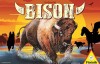 Bison thumbnail