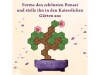 Bonsai - DE thumbnail
