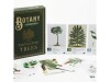 Botany: Tantalizing Trees thumbnail
