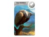 Cardline: Svět zvířat thumbnail
