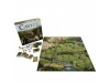 Caylus 1303 thumbnail