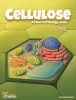 Cellulose: A Plant Cell Biology Game thumbnail