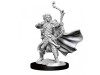 D&D Frameworks: Elf Ranger Male thumbnail