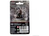 D&D Icons of the Realms: Premium Painted Figure - Half-Orc Fighter Female thumbnail