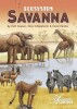 Ecosystem: Savanna thumbnail
