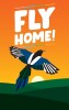 Fly Home thumbnail