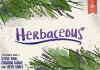 Herbaceous thumbnail