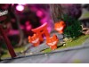 Night Parade of a Hundred Yokai thumbnail