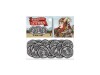 Raiders of Scythia + metal coins thumbnail