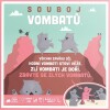 Souboj vombatů thumbnail